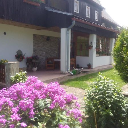 Ubytování U Sviráků Srbská Kamenice Esterno foto