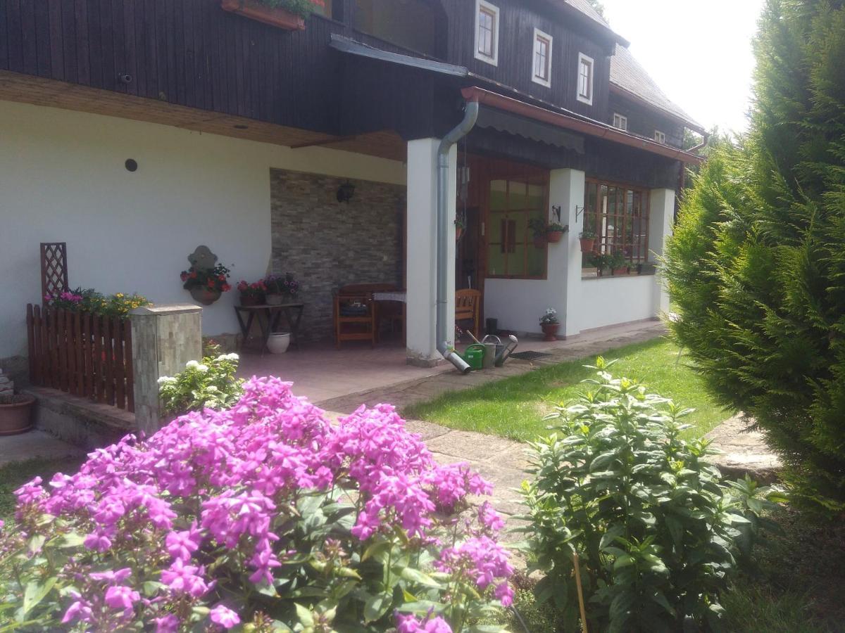 Ubytování U Sviráků Srbská Kamenice Esterno foto
